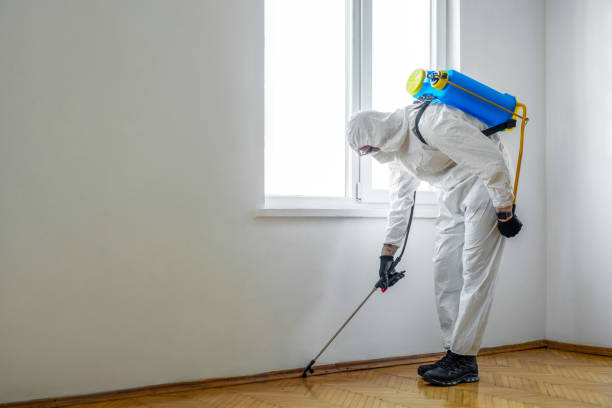 Best Fumigation Services  in Otisville, NY